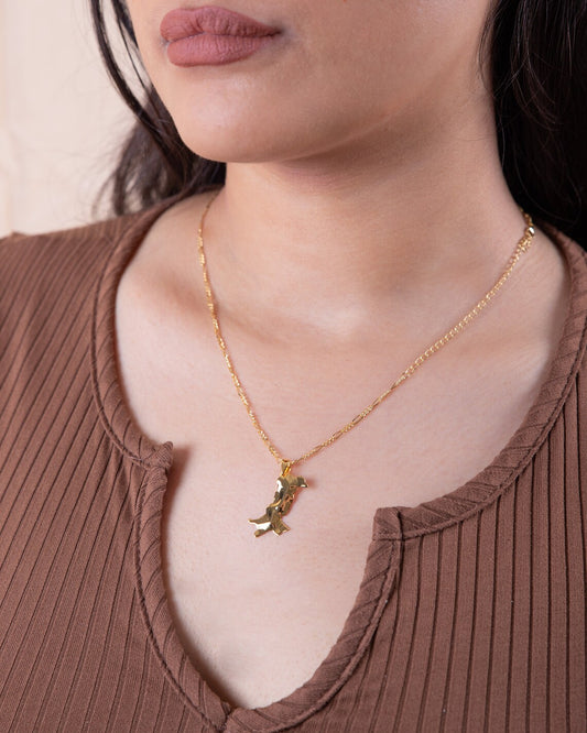 Pakistan Map Necklace